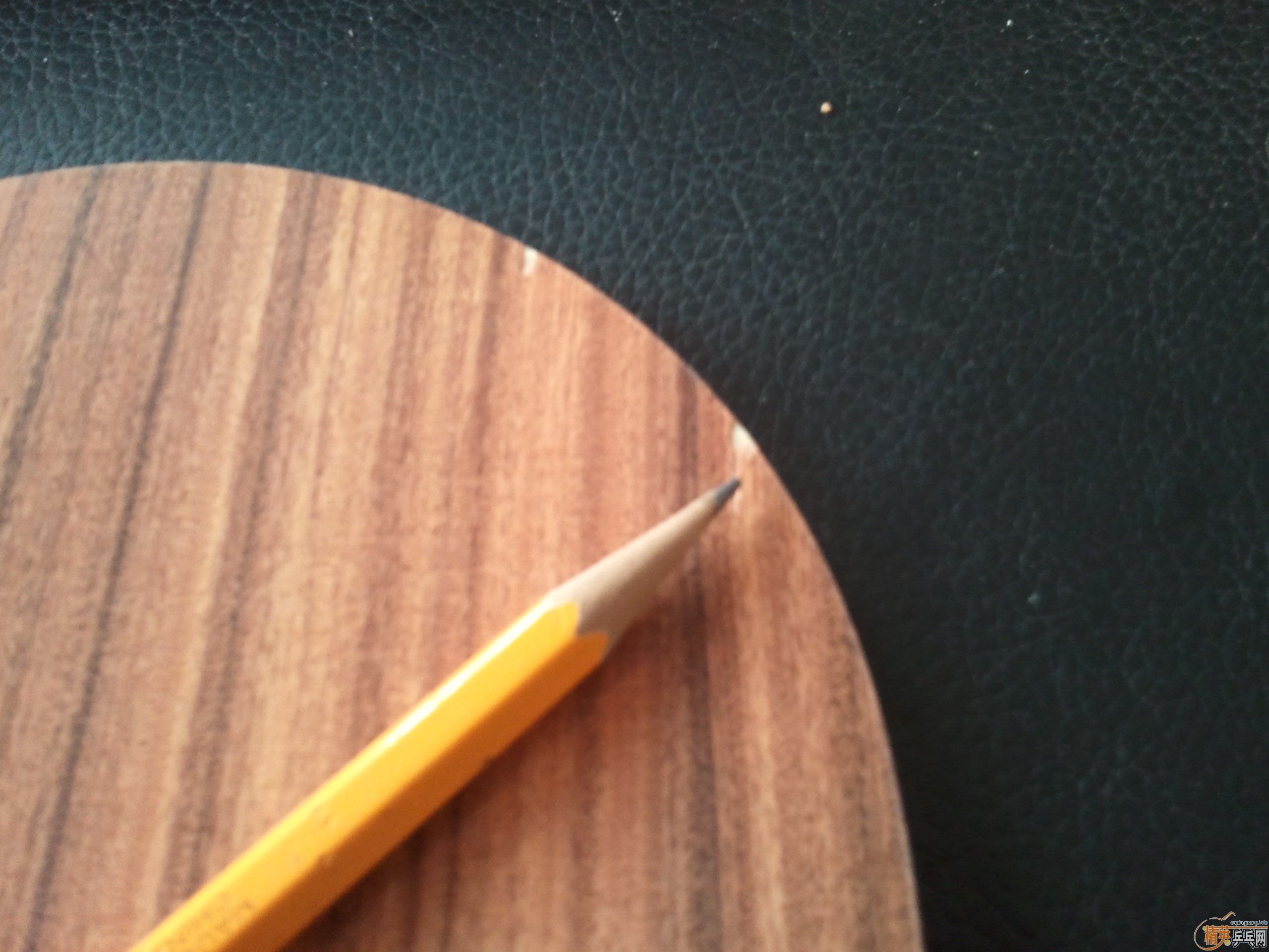 ����Ʒ���л�õ��5һֻ