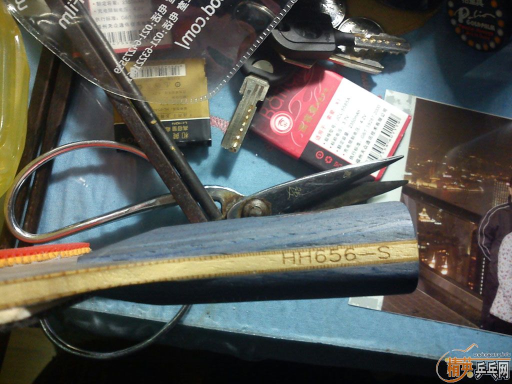 9.9   656, ݷǳ, 9.9¶ DONIC S1