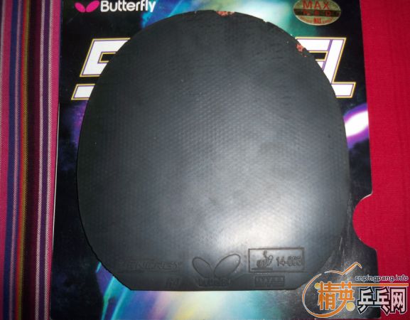 ѳ 64    F1  ֧