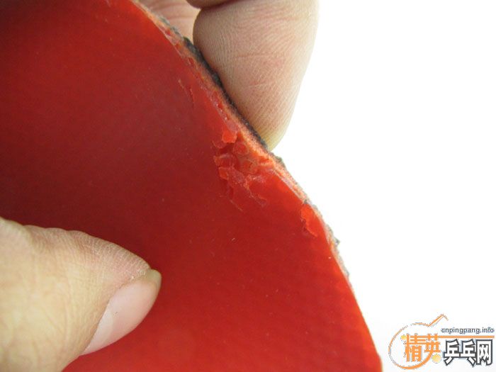 ��Ƭ���ֽ� DONIC F1 SRIVER EL ����̽��