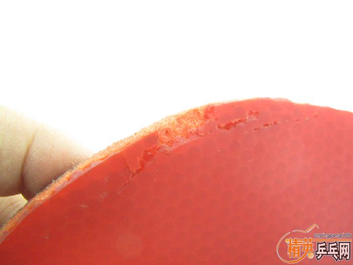 ��Ƭ���ֽ� DONIC F1 SRIVER EL ����̽��