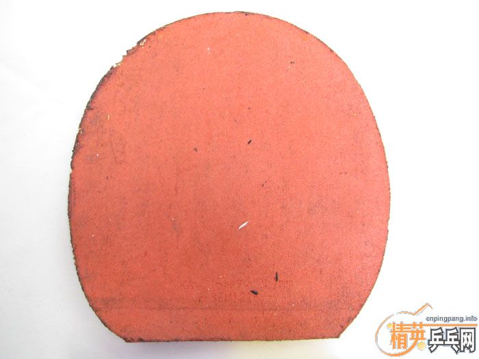 ��Ƭ���ֽ� DONIC F1 SRIVER EL ����̽��