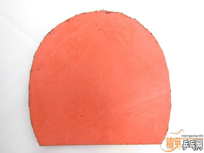 ��Ƭ���ֽ� DONIC F1 SRIVER EL ����̽��