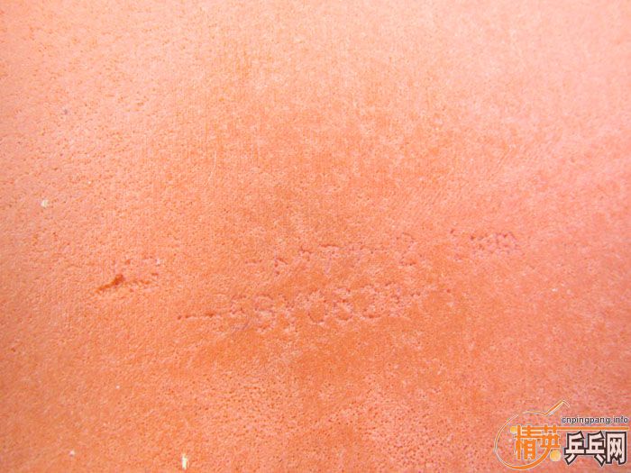 ��Ƭ���ֽ� DONIC F1 SRIVER EL ����̽��