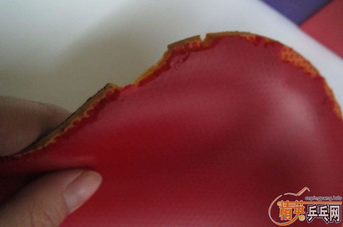 ��Ƭ���ֽ� DONIC F1 SRIVER EL ����̽��