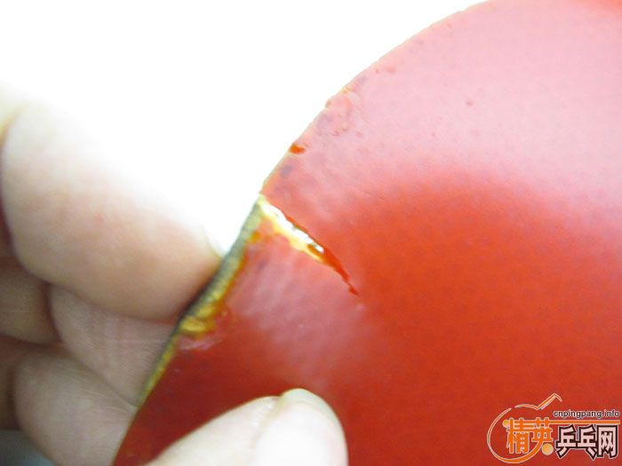 ��Ƭ���ֽ� DONIC F1 SRIVER EL ����̽��