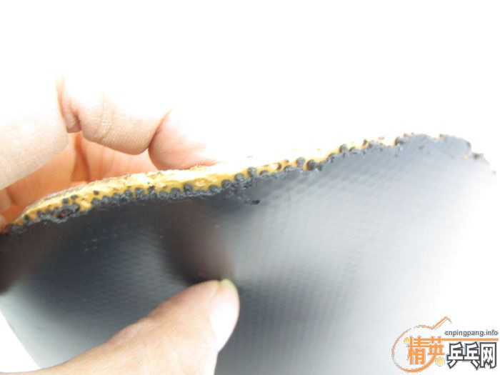 ��Ƭ���ֽ� DONIC F1 SRIVER EL ����̽��