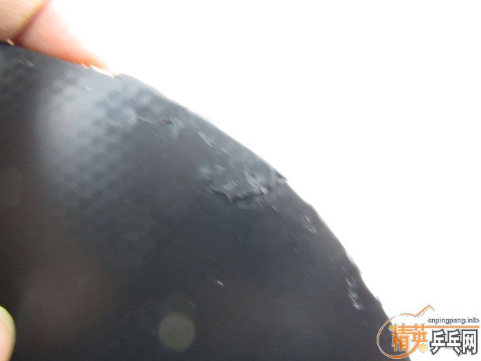 ��Ƭ���ֽ� DONIC F1 SRIVER EL ����̽��