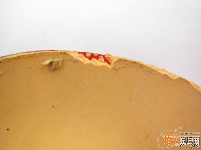 ��Ƭ���ֽ� DONIC F1 SRIVER EL ����̽��