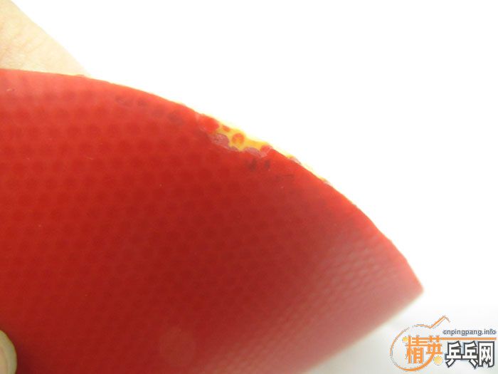 ��Ƭ���ֽ� DONIC F1 SRIVER EL ����̽��