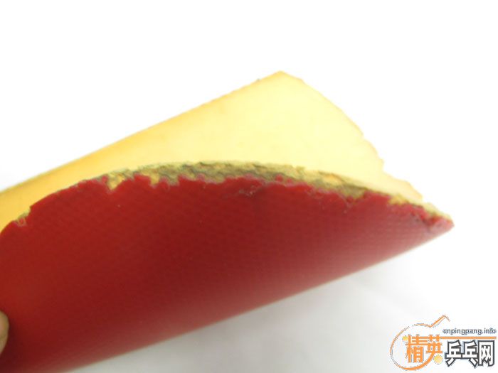 ��Ƭ���ֽ� DONIC F1 SRIVER EL ����̽��