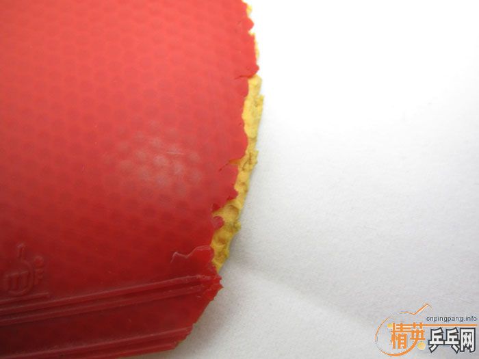 ��Ƭ���ֽ� DONIC F1 SRIVER EL ����̽��