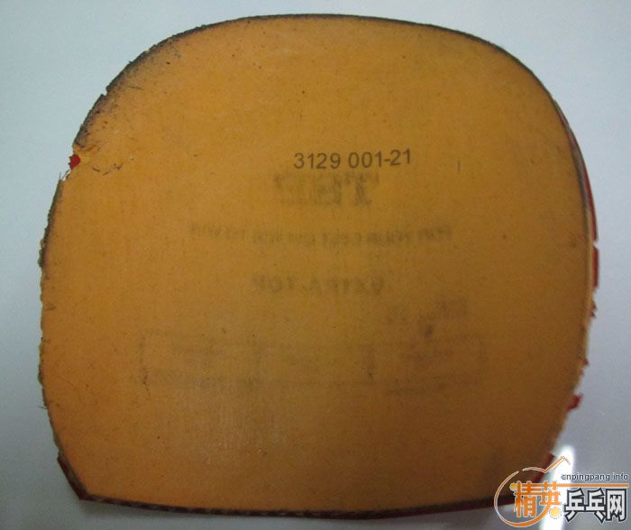 ��Ƭ���ֽ� DONIC F1 SRIVER EL ����̽��