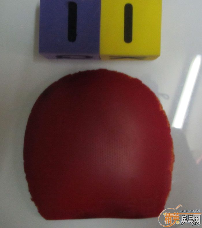 ��Ƭ���ֽ� DONIC F1 SRIVER EL ����̽��