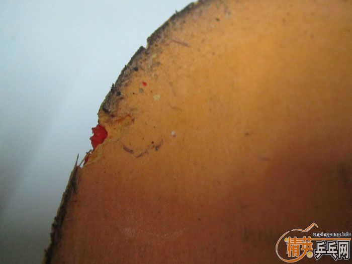 ��Ƭ���ֽ� DONIC F1 SRIVER EL ����̽��