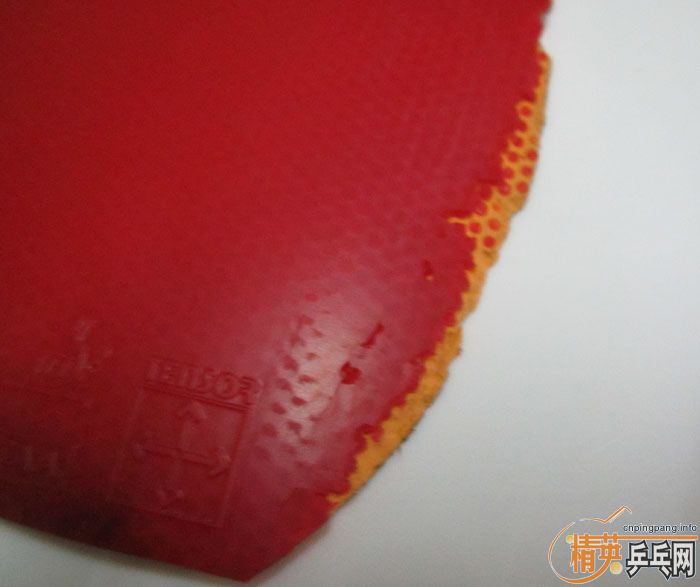 ��Ƭ���ֽ� DONIC F1 SRIVER EL ����̽��