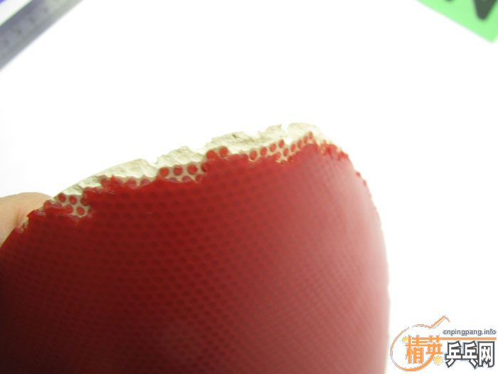 ��Ƭ���ֽ� DONIC F1 SRIVER EL ����̽��