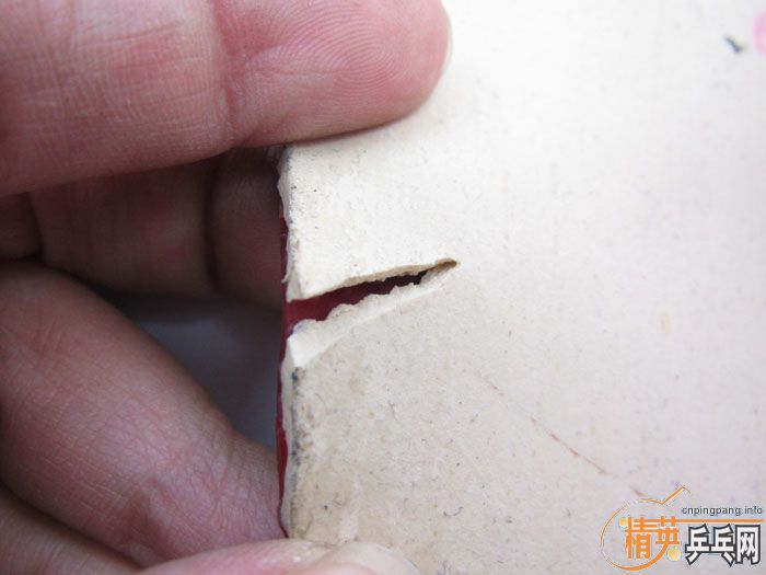 ��Ƭ���ֽ� DONIC F1 SRIVER EL ����̽��