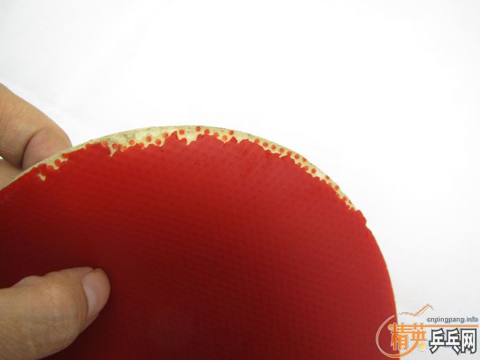 ��Ƭ���ֽ� DONIC F1 SRIVER EL ����̽��