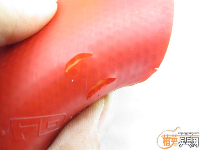 ��Ƭ���ֽ� DONIC F1 SRIVER EL ����̽��