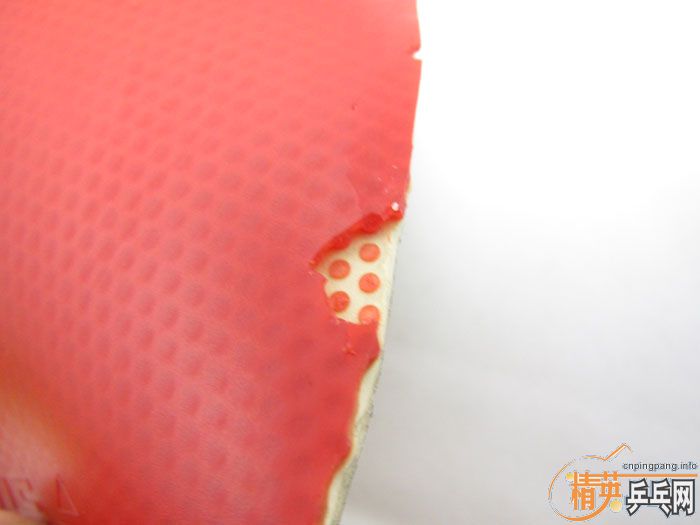 ��Ƭ���ֽ� DONIC F1 SRIVER EL ����̽��