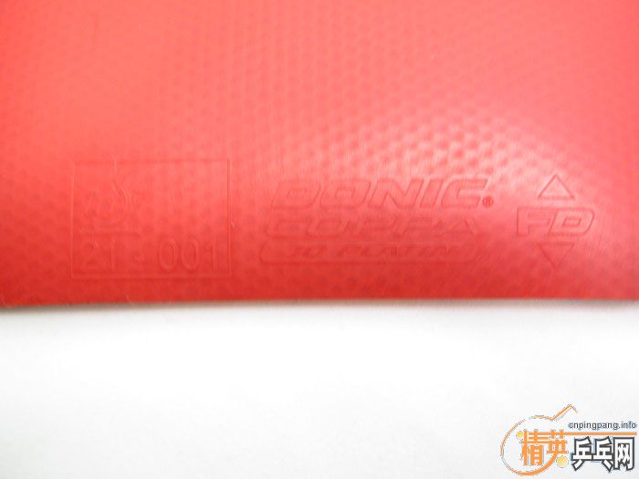 ��Ƭ���ֽ� DONIC F1 SRIVER EL ����̽��