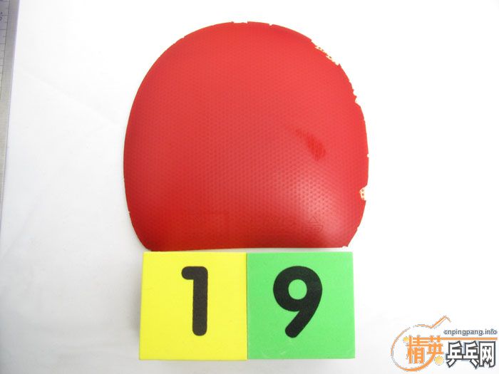 ��Ƭ���ֽ� DONIC F1 SRIVER EL ����̽��