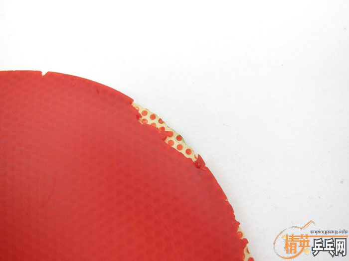 ��Ƭ���ֽ� DONIC F1 SRIVER EL ����̽��