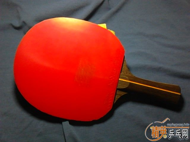 DHS��Ʒһֻ����ľ��5.8��90�ˣ�������1000��