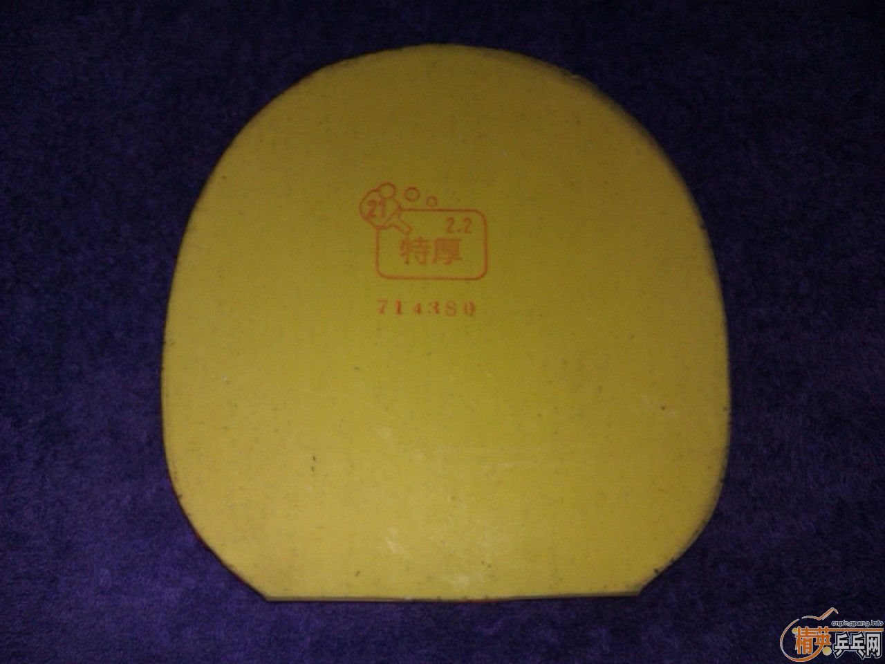 TSP 20822 ���� ��ɫ �غ� ���