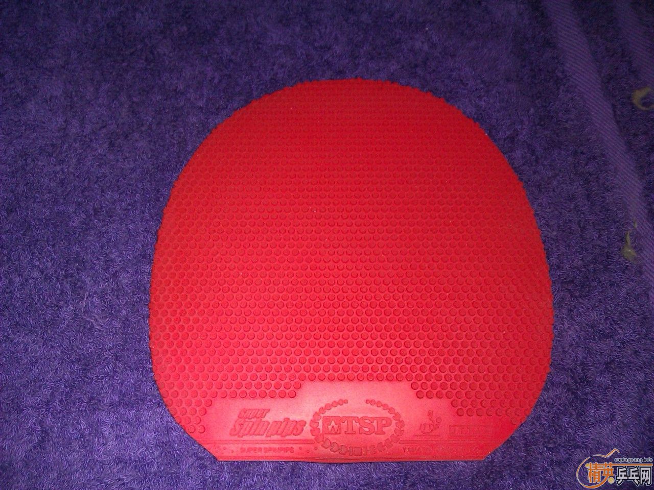 TSP 20822 ���� ��ɫ �غ� ���