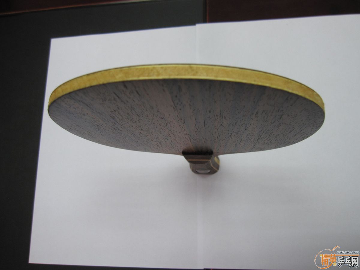 ת��һֻ����ȫ�µ��л�STIGA ��̴