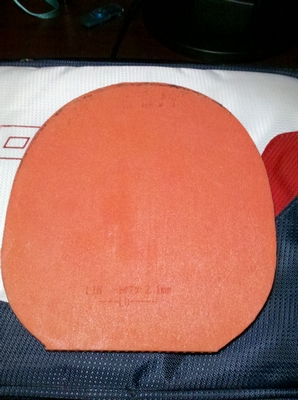 9.8T05,