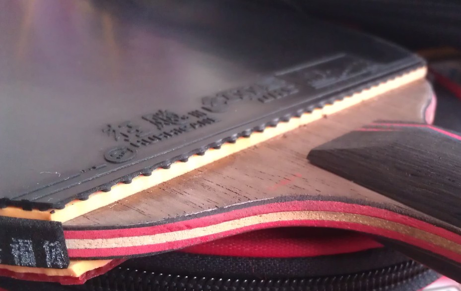 ���۴���������9��������4000�࣬���ڷ�ʡ�ˣ�ŷ����4��NEOʡ��3�����̼����ʡ���Լ�С����EL��