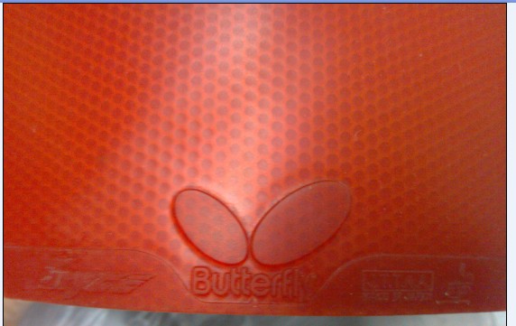 [ԭ��]���ó�ɫ������� ��9.5�µ�ŷ��٤2