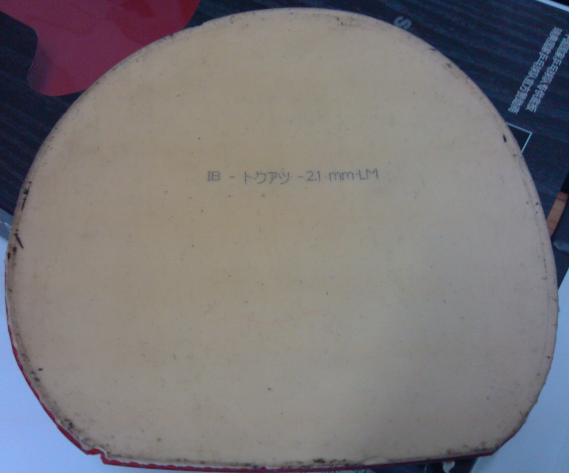 [ԭ��]���ó�ɫ������� ��9.5�µ�ŷ��٤2