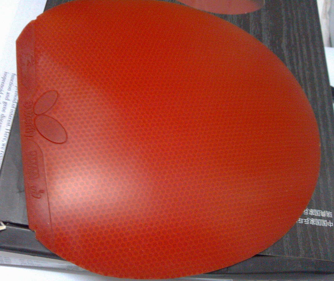 [ԭ��]���ó�ɫ������� ��9.5�µ�ŷ��٤2