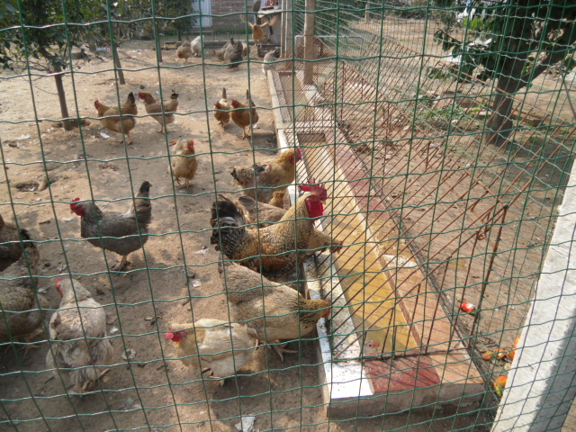 �����ĸ��µĴ�CL�л�260��