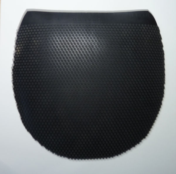 ���۳��¹�����Dr NeubauerŦ���� Leopard �� ���綥��ƹ�������� ����200Ԫ����