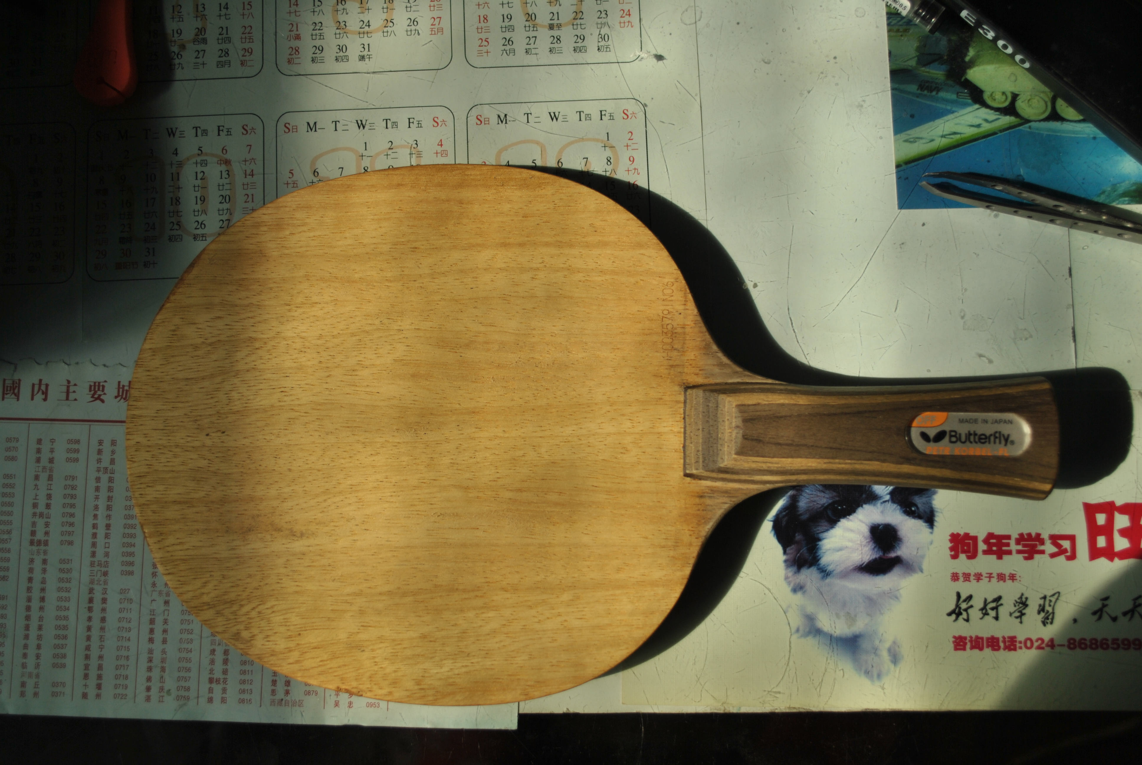 ���ֿƱ���