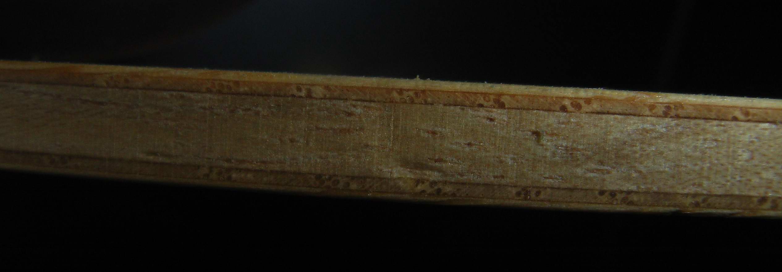 ȷʵ�����ѳ�������С���٣����ҵ��ջ�ȫ�ǹ�����