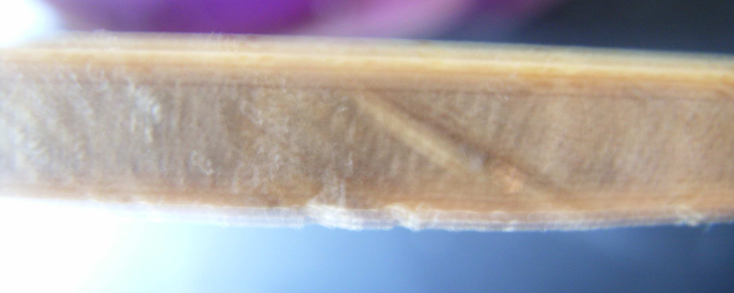 ȷʵ�����ѳ�������С���٣����ҵ��ջ�ȫ�ǹ�����