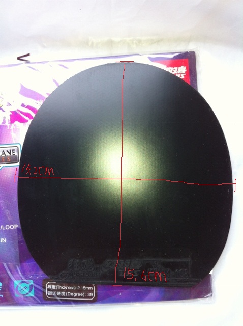 ��������������տ���