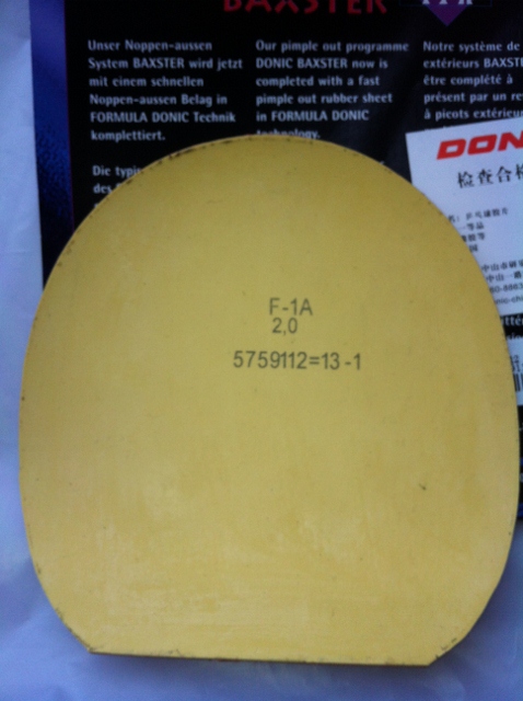 ��������������տ���