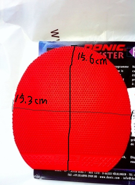 ��������������տ���