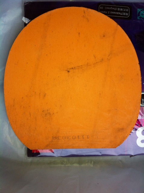 ��������������տ���