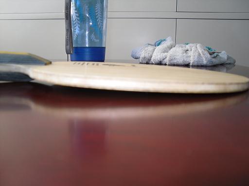 ���л���EG ����ˮ����ľ����������ɫ��ͼ��֧��������