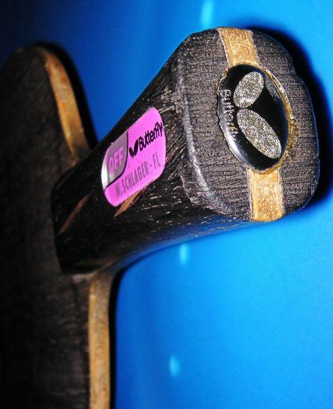 ɹɹ��Щ�����ڵ�����