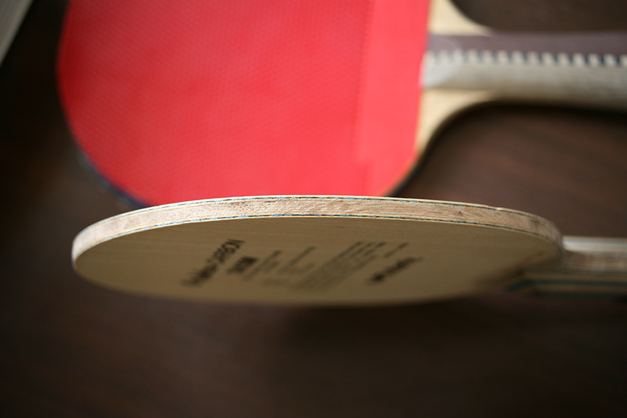 �����յ�ֱ�������TAKSIM