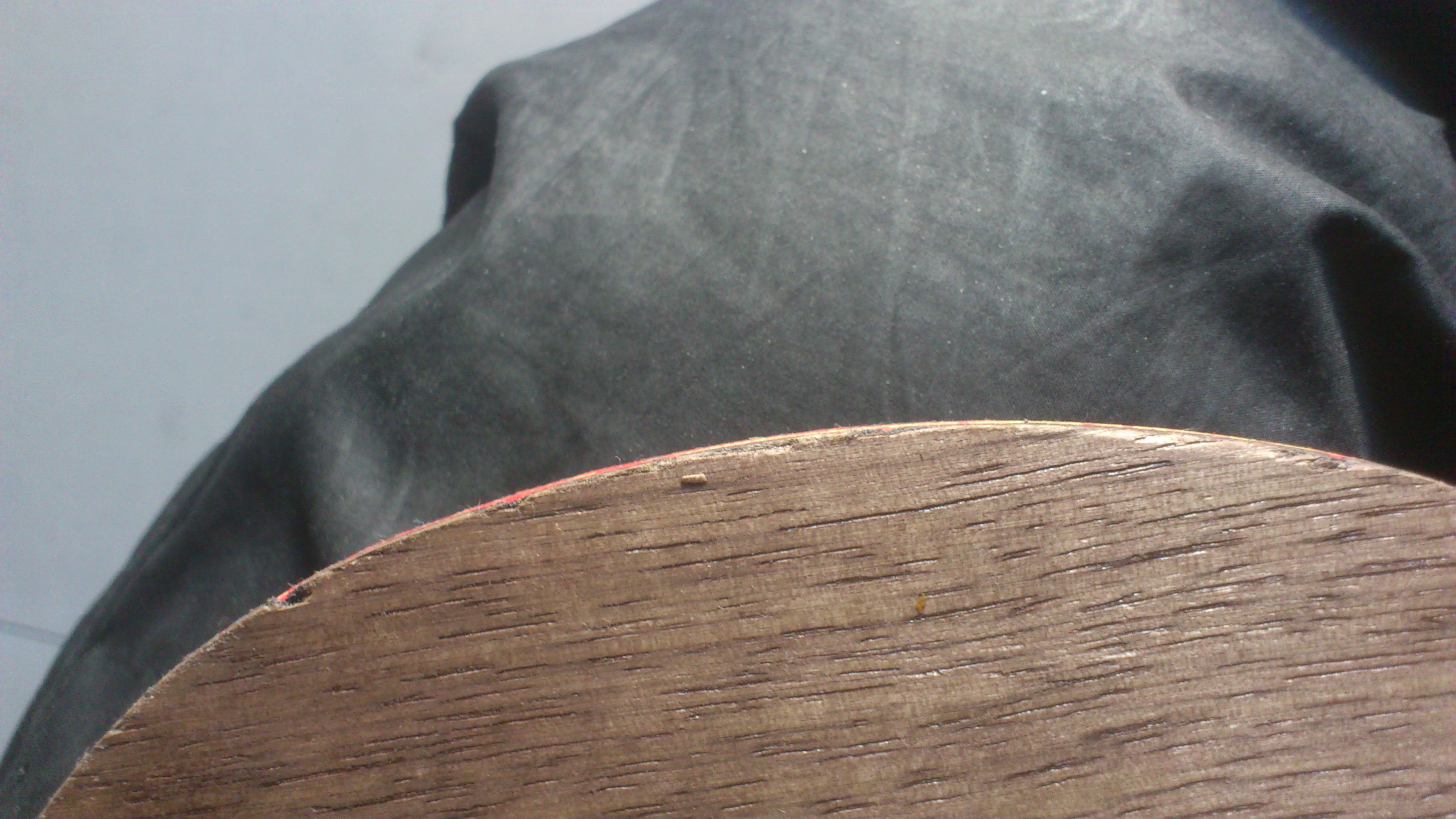 ���л����7.6